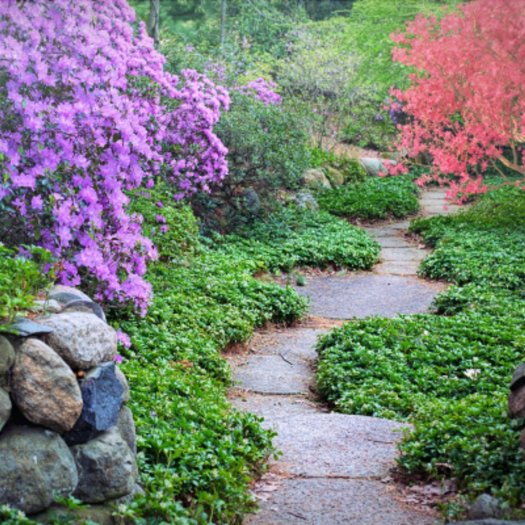 Are you interested in becoming a master gardener? Come to our information session hosted by Ohio State University Extension. Attend 1 of 2 informational sessions today, Thursday, December 7, at 10:00 a.m. or 6:30 p.m.