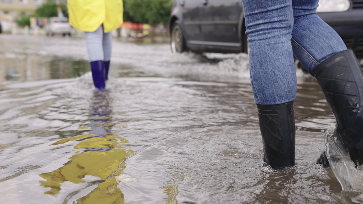 GBC Customer Service (@gedlingbc_help) on Twitter photo A lot of rain has been forecast for the next 5 days and residents and businesses are advised to prepare for possible impacts, including travel disruption and flooding. For advice on how to prepare for flooding, visit <a href="/NottsCC/">Nottinghamshire County Council</a> website:
orlo.uk/OTQEs A lot of rain has been forecast for the next 5 days and residents and businesses are advised to prepare for possible impacts, including travel disruption and flooding. For advice on how to prepare for flooding, visit <a href="/NottsCC/">Nottinghamshire County Council</a> website:
orlo.uk/OTQEs
