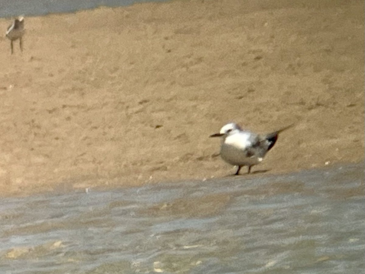 Chris Gladwin tweet media