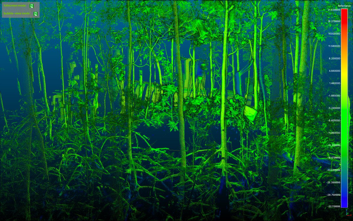 jongewirtzman's tweet photo. Back in the mangroves-- this time virtually! Had a great couple of days working through #TLS #LIDAR data with @StovallAtticus @forest_lx @SwampDrCharles. Exploring @EvergladesNPS and trying to measure these gnarly roots! @fcelter @carBenPoulter @DLagomasino @NASA_Carbon #Blueflux https://t.co/TpSaeGbqPA
