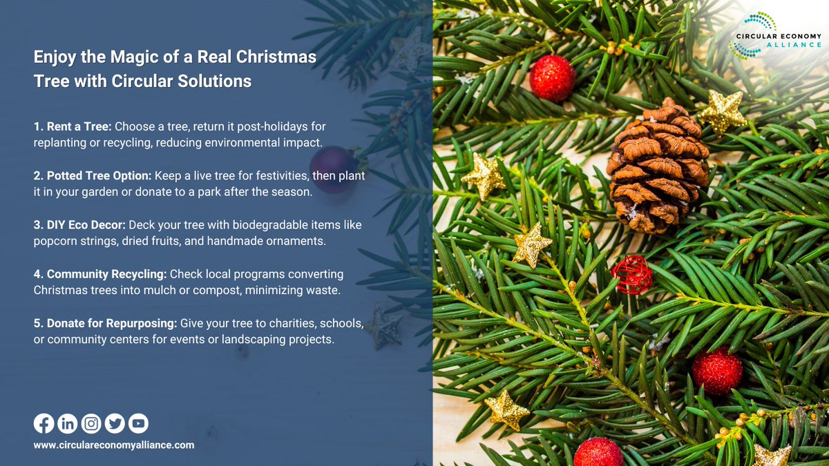 #Christmas should radiate joy without casting a shadow on our #planet. It's time to reimagine our traditions, ensuring every glittering moment leaves a positive mark. Discover the magic of a #GreenChristmas with #CEA. circulareconomyalliance.com