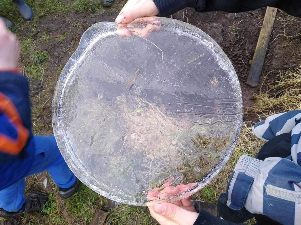 There have been some beautiful sunny and cold wintery days this week, the children have enjoyed finding ice in the school garden!