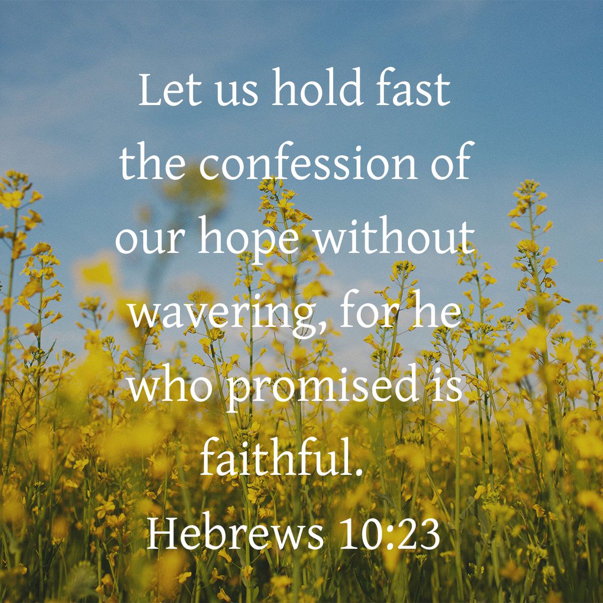 Dmpierson4's tweet photo. Let us hold fast the confession of our hope without wavering, for he who promised is faithful.
Hebrews 10:23 ESV

https://t.co/SbXtKTKV06 https://t.co/PU85lYKdgG