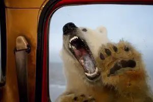BearPosting's tweet photo. https://t.co/KPHSMvXY1k