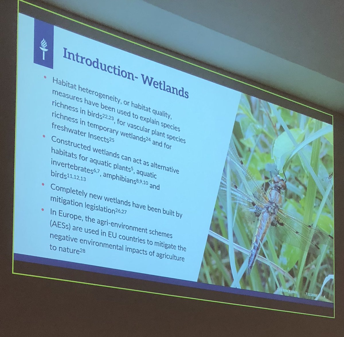 Today @jyuscience biology departmental seminar @helleilona presents her really interesting and relevant work on constructed wetlands. @NesslingSaatio