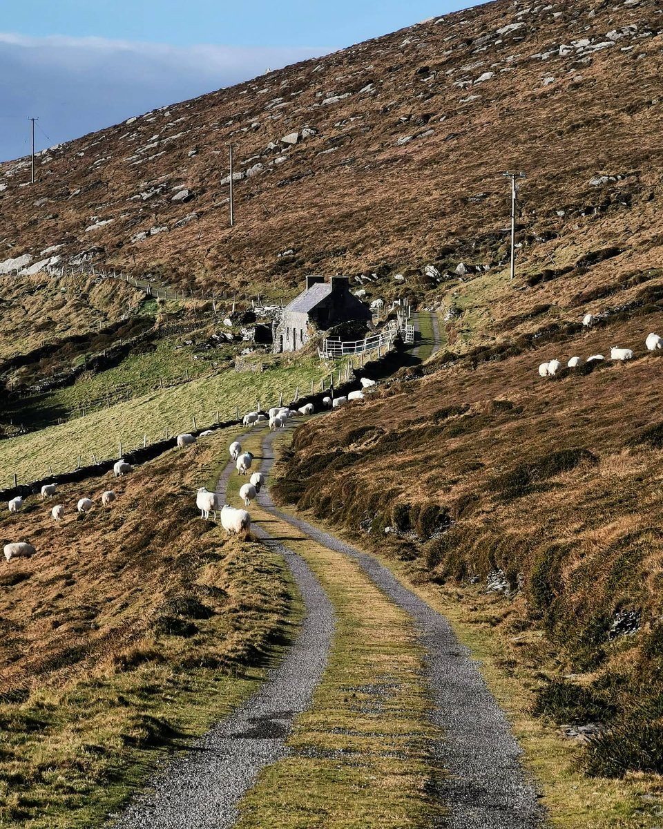 Wild Atlantic Way tweet media