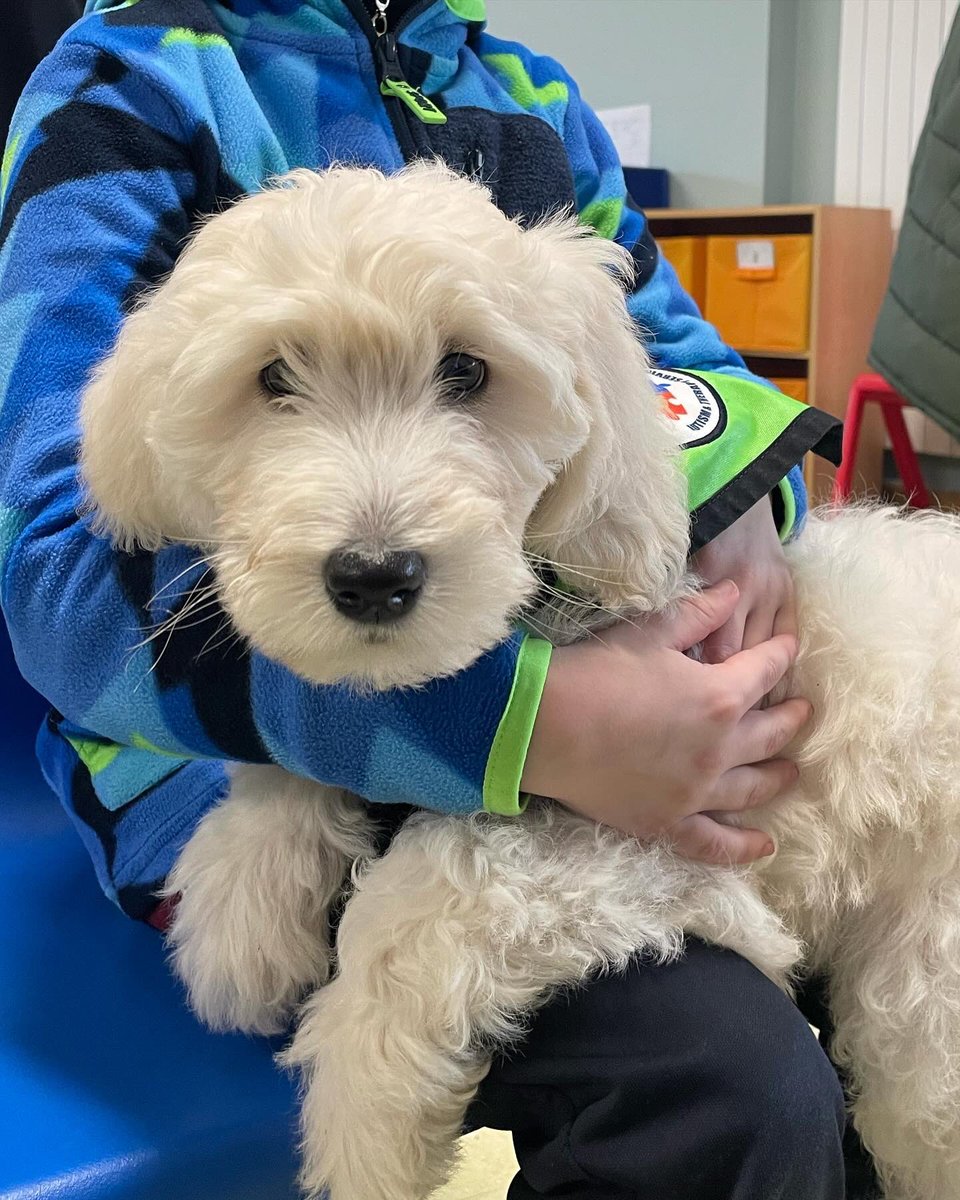 Christ the King B.N.S. tweet media