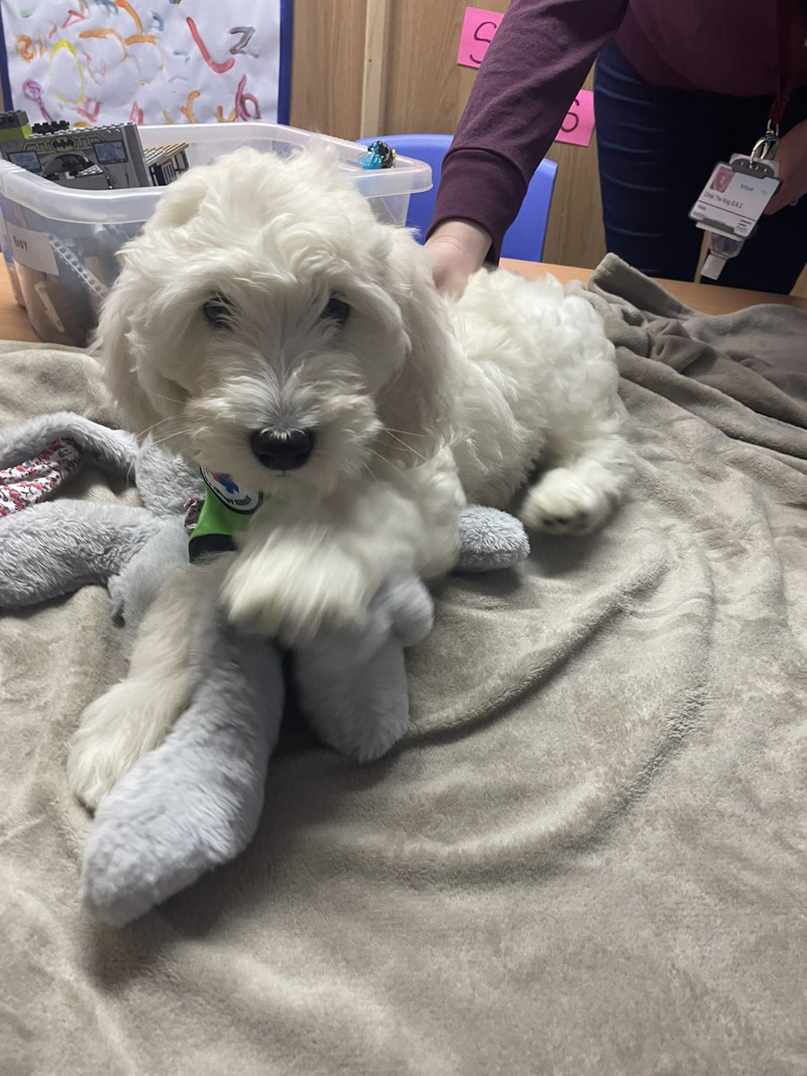 Christ the King B.N.S. tweet media