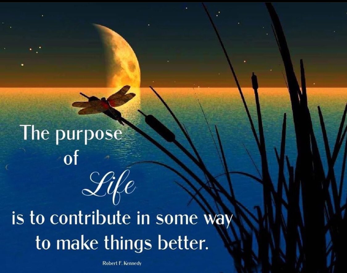 Shevron Houdhan-Roberts tweet media