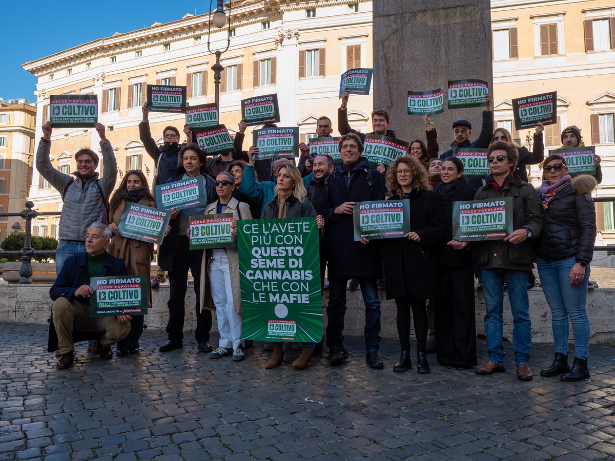 L’unica soluzione è la legalizzazione!

Come +Europa partiamo oggi insieme a <a href="/LegaleMeglio/">MeglioLegale</a>  con la proposta di legge di iniziativa popolare antiproibizionista per la coltivazione domestica e la coltivazione in forma associata. Il mondo sta andando da un’altra parte: negli Stati