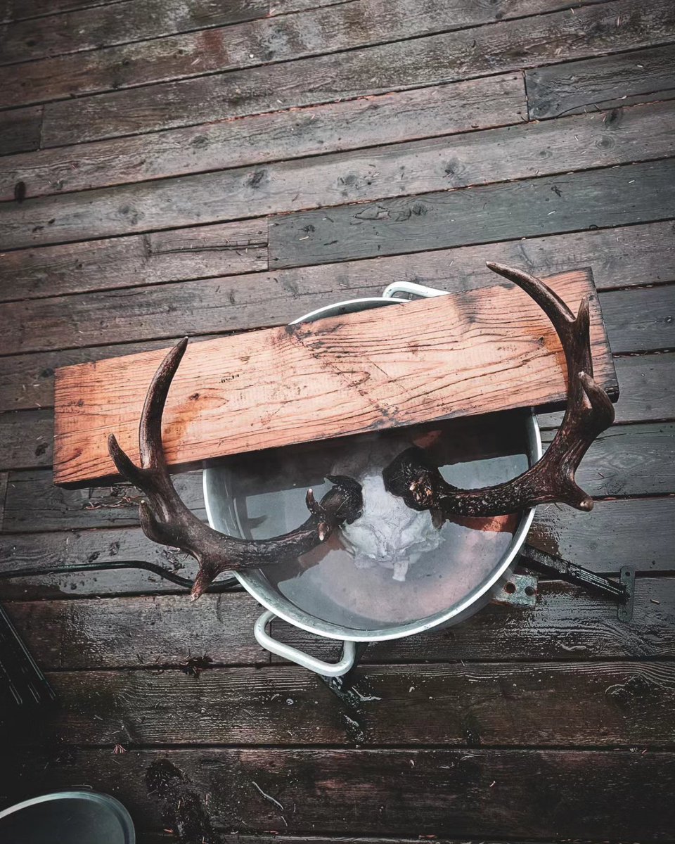 KootenayA's tweet photo. It's time for my favorite arts and crafts projects.
#euromount https://t.co/oVfkH5OO1N