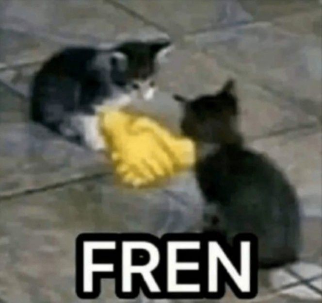 #anitwit hai mutualan yuk? tapi homophobic, zionist, nsfw hard acc dan gak suka interact dni dulu ya! ((selengkapnya ada di carrdku)) please bantu rt dan like jika ini lewat terima kasih ^_____^