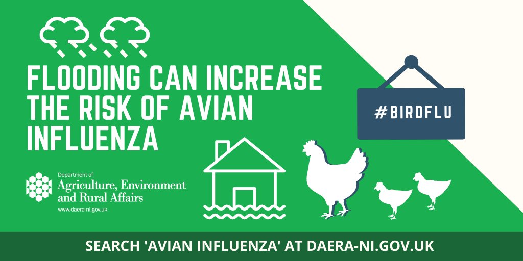 ⚠️With heavy rain forecast @metofficeNI remember #flood water can carry & spread #birdflu 👉Prevent birds accessing standing water 👉Inspect buildings/enclosures & repair any damage 🔗More info: daera-ni.gov.uk/articles/biose… @nidirect @LMCNI @RuralSupport @nweir1 @ElaineMMitchell