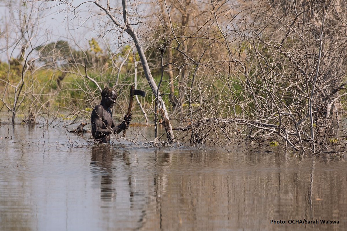 #DYK? Above-average rainfall affected #SouthSudan for 4 straight years from 2019 to 2022. Heavy rain and floods destroyed people’s crops & homes and affected their access to basic services. Learn more about the impact of climate change on South Sudan ▶️ bit.ly/4800Va4