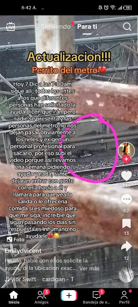 Yei_Coronil's tweet photo. @metro_caracas  por favor saquelo, no les llevará más de 10 minutos.
No sean tan  🤬

Más empatía para los peludos!!! Una semana lleva ahí y no dejan que nadie entre y lo saqué 😔 https://t.co/5vsboV8xp4