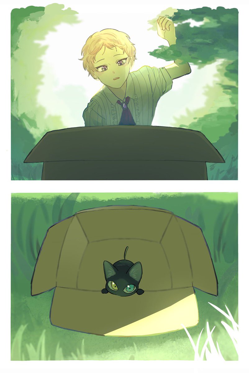 미카슈 미카냥 집사 되기 1초전