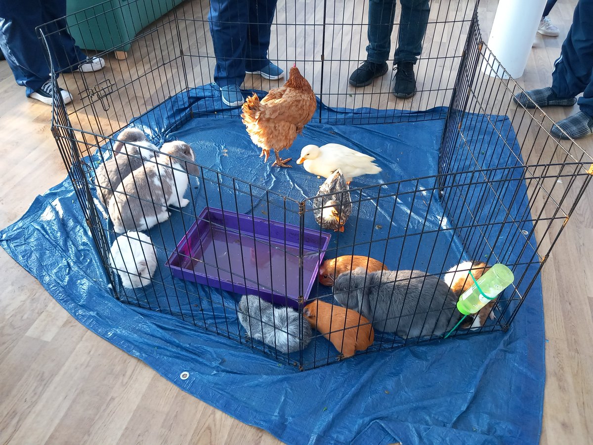 Many thanks to the Physio staff at Leverndale for organising a petting zoo following a donation from a previous service user. @NHSGGC @GCHSCP @PhysiosinMH @CSPScot @AngelaWPhysio