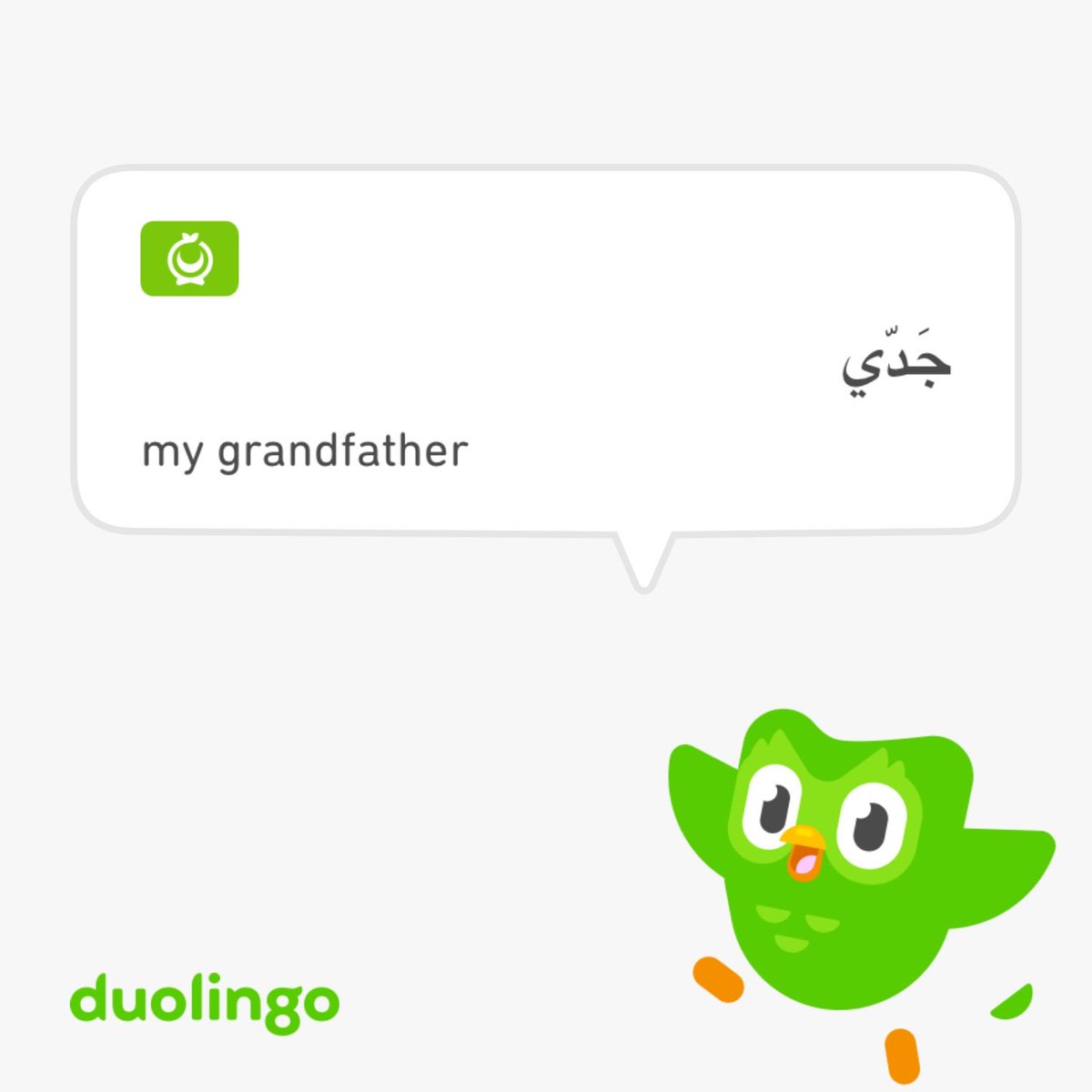 weisballet's tweet image. #BeautifulScript #LanguageLearning #Arabic #DuoLingo - I’ve learned about 3 words so far 😂😀🦉🧠