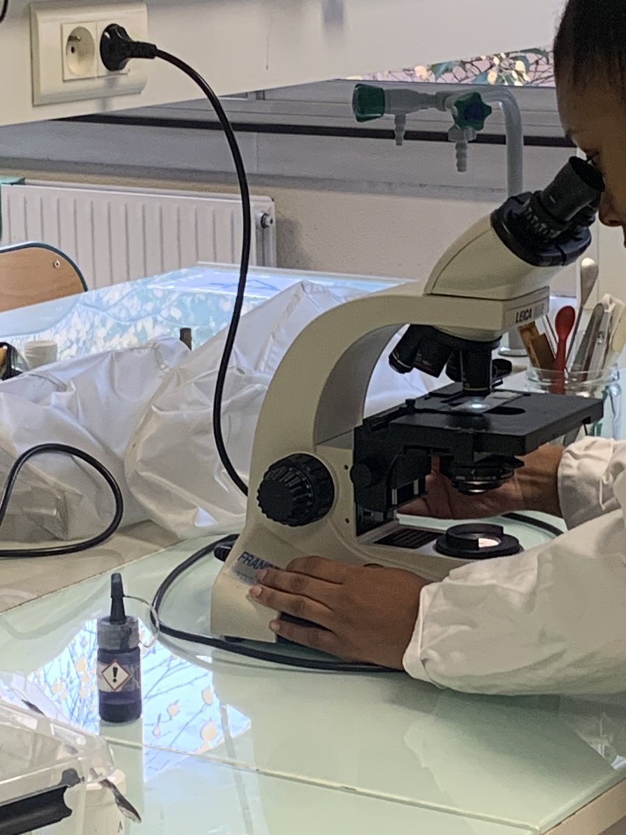 La cosmeto d’Helene tweet media