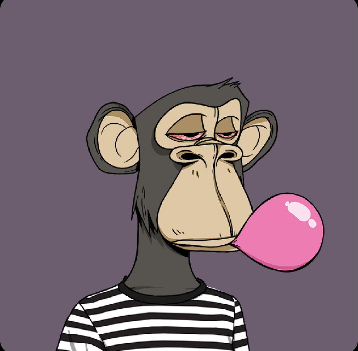 Dude, crypto is ripping again and the fuckin dorks with Bored Apes are back.