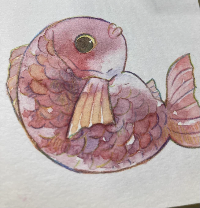 あまりにも可愛く描けてしまった鯛 