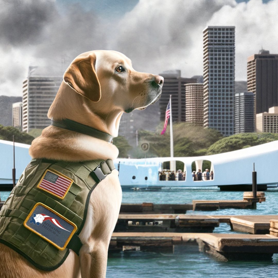 This Pearl Harbor Remembrance Day, we pause to remember and honor the 2,403 service members and civilians who served and sacrificed on December 7, 1941, in the attacks at Pearl Harbor. Their courage and dedication continue to inspire us to this day.
#PearlHarborRemembranceDay