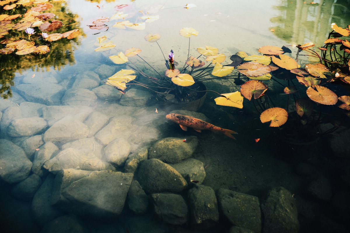 robertluxun's tweet photo. Calming spaces. https://t.co/kAyWOWk21z