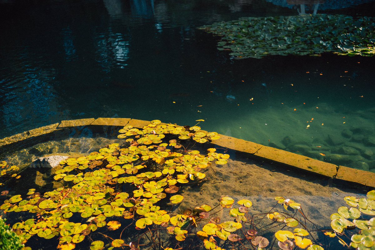 robertluxun's tweet photo. Calming spaces. https://t.co/kAyWOWk21z