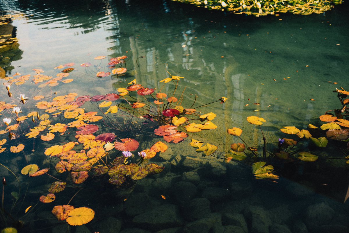 robertluxun's tweet photo. Calming spaces. https://t.co/kAyWOWk21z