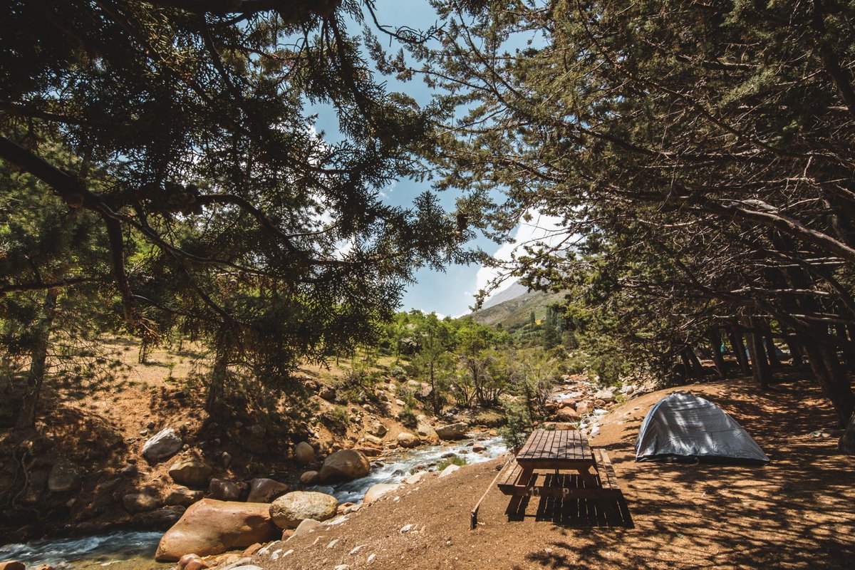 Ladera Sur 🌎 tweet media