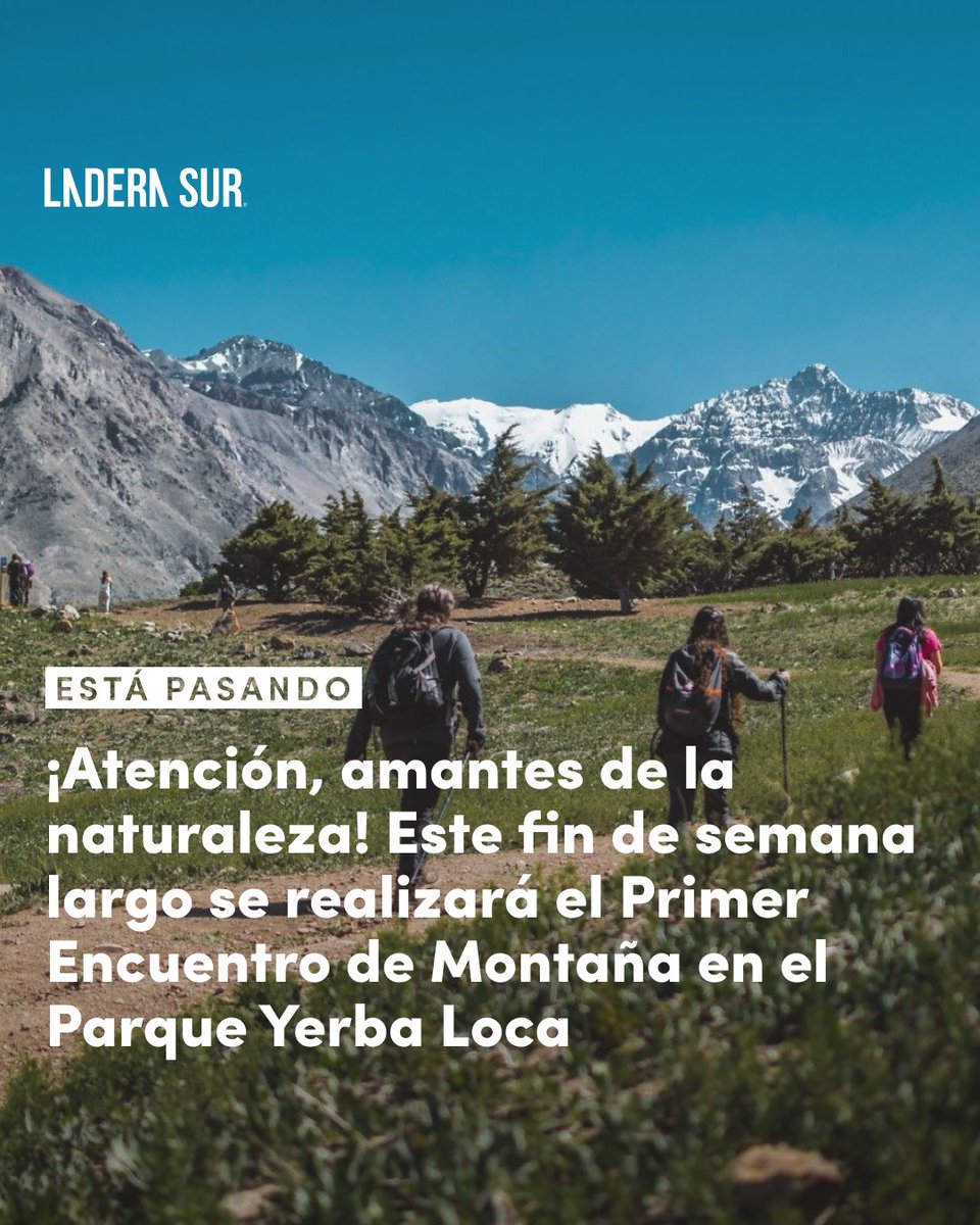 Ladera Sur 🌎 tweet media