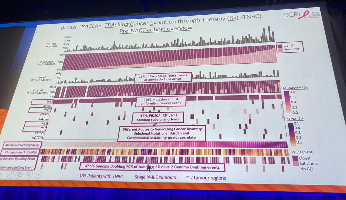The complexity of #TNBC genomes- fantastic data by #breastcancer <a href="/CharlesSwanton/">Charles Swanton</a> <a href="/FAndreMD/">FabriceAndre</a> <a href="/SABCSSanAntonio/">SABCS</a> #sabcs23