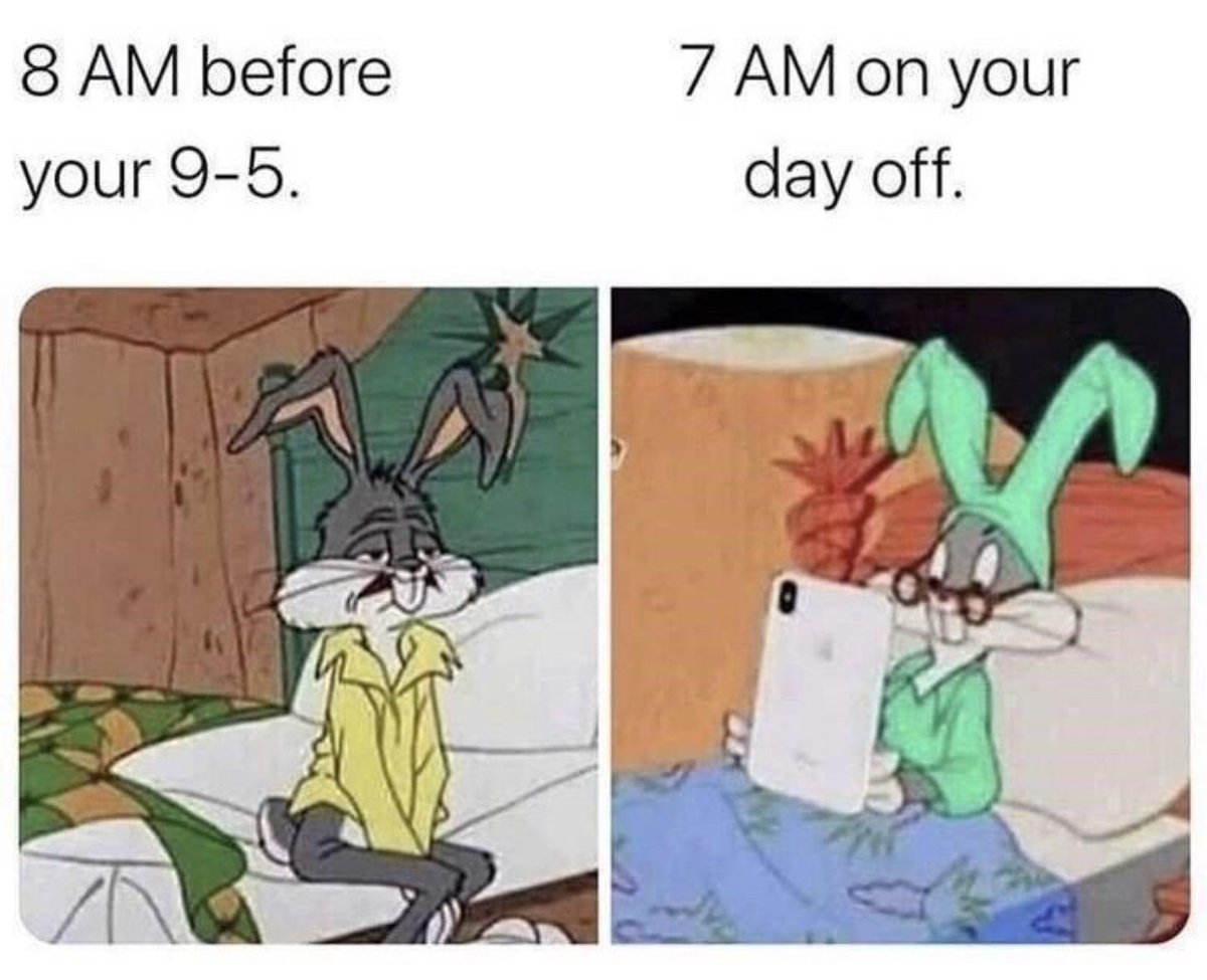 Out of Context Human Race (@nocontexthumans) on Twitter photo 