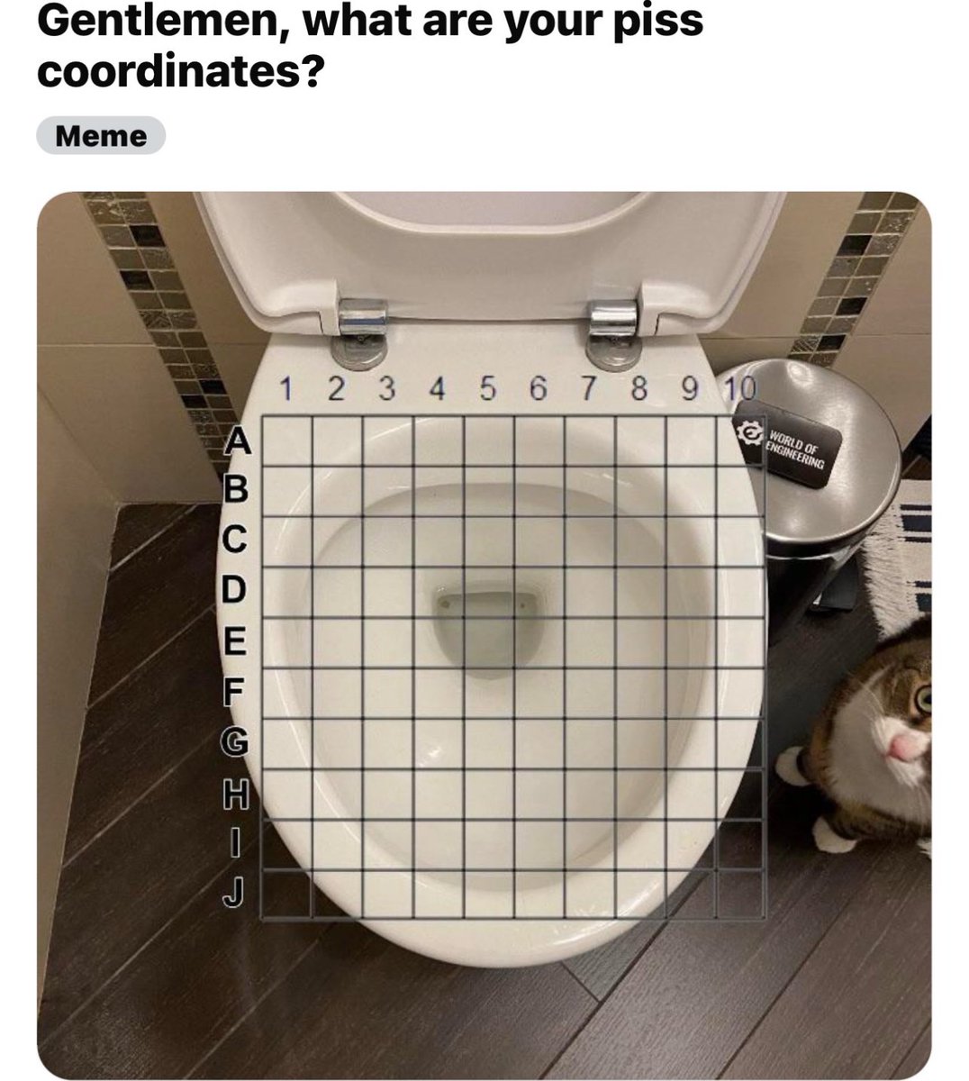 Out of Context Human Race tweet media