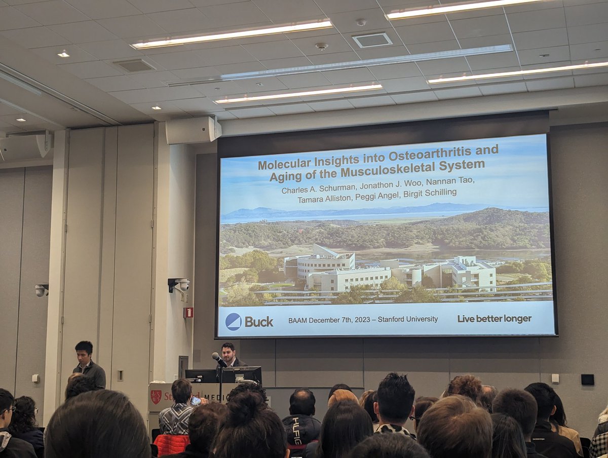 BuckInstitute's tweet image. Buck postdoc @SchurmanCharlie presents his work at #BAAM2023. Charlie&apos;s work comes from the lab of @birgits61642917 and focuses on aging in the musculoskeletal system!