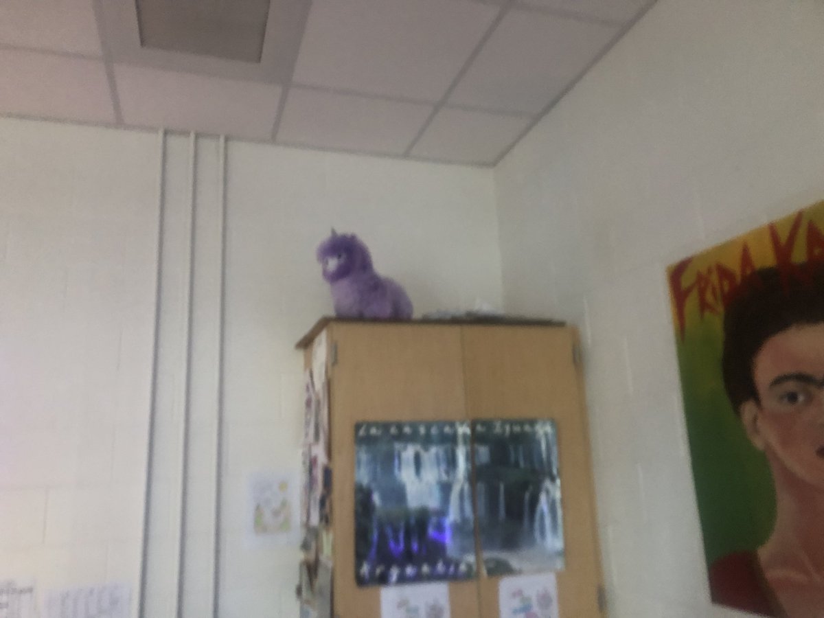 Amy Mahoney tweet media