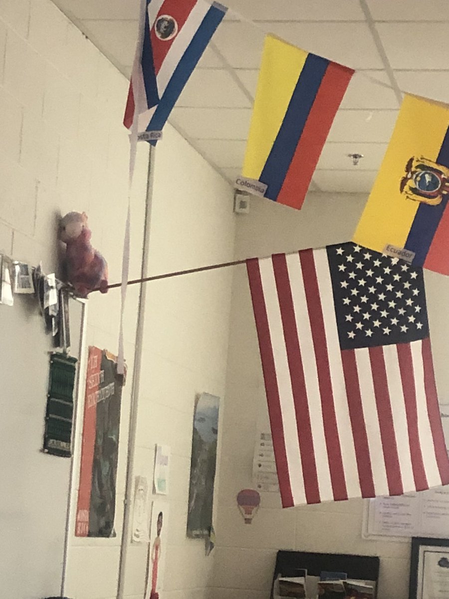 Amy Mahoney tweet media