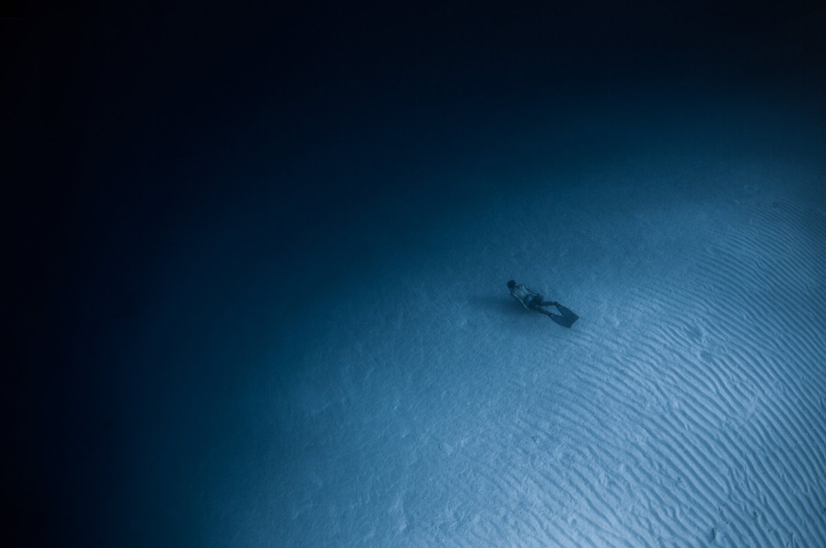 "Surrender" 
50 editions
0.02 eth

Image #5 of the Hypoxic serie🤿

Story + link below ⬇️