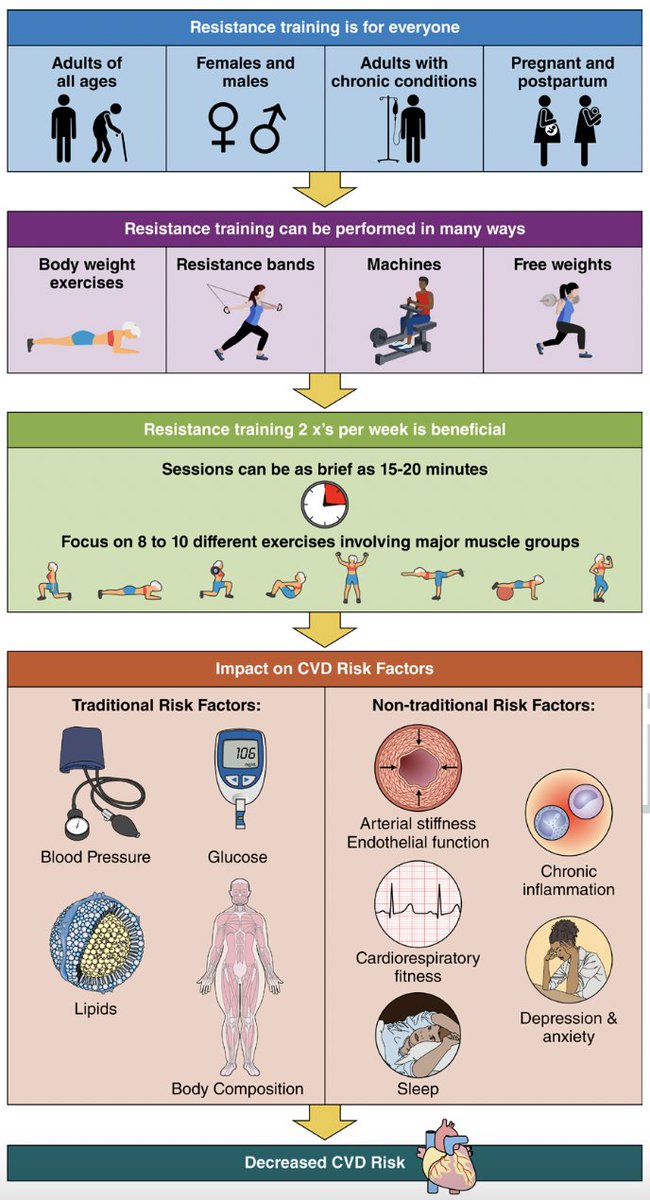 💪🏋️‍♂️🫀 Guía clínica de la AHA <a href="/American_Heart/">American Heart Association</a> 

El entrenamiento de #fuerza no solo fortalece los músculos, sino que  también beneficia la salud cardiovascular al destacar sus efectos positivos en el corazón y factores de riesgo #quelafuerzateacompañe

ahajournals.org/doi/10.1161/CI…