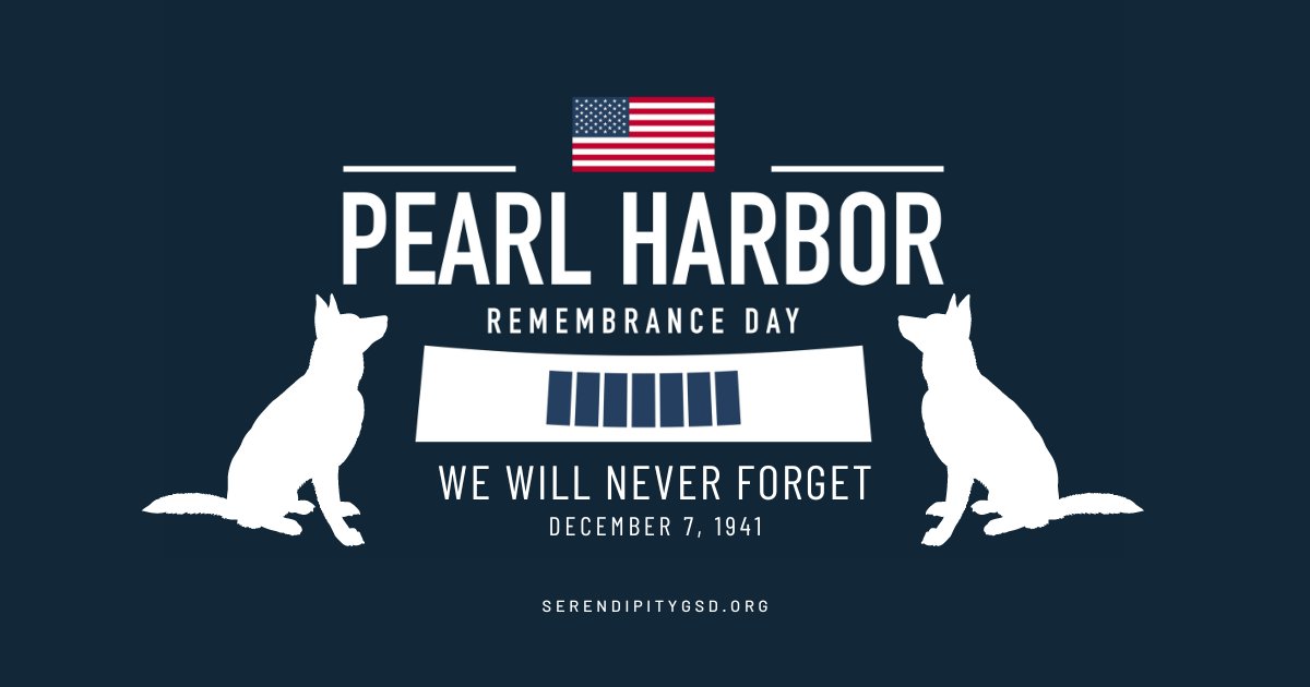 Today the dogs and humans of SGSDR pause to remember and honor those who lost their lives at Pearl Harbor on December 7th, 1941. We are grateful for their service on that fateful day and forever honor their memory.
🇺🇸
💚
#pearlharborremembranceday #SGSDR #STLDogRescue #GSDRescue