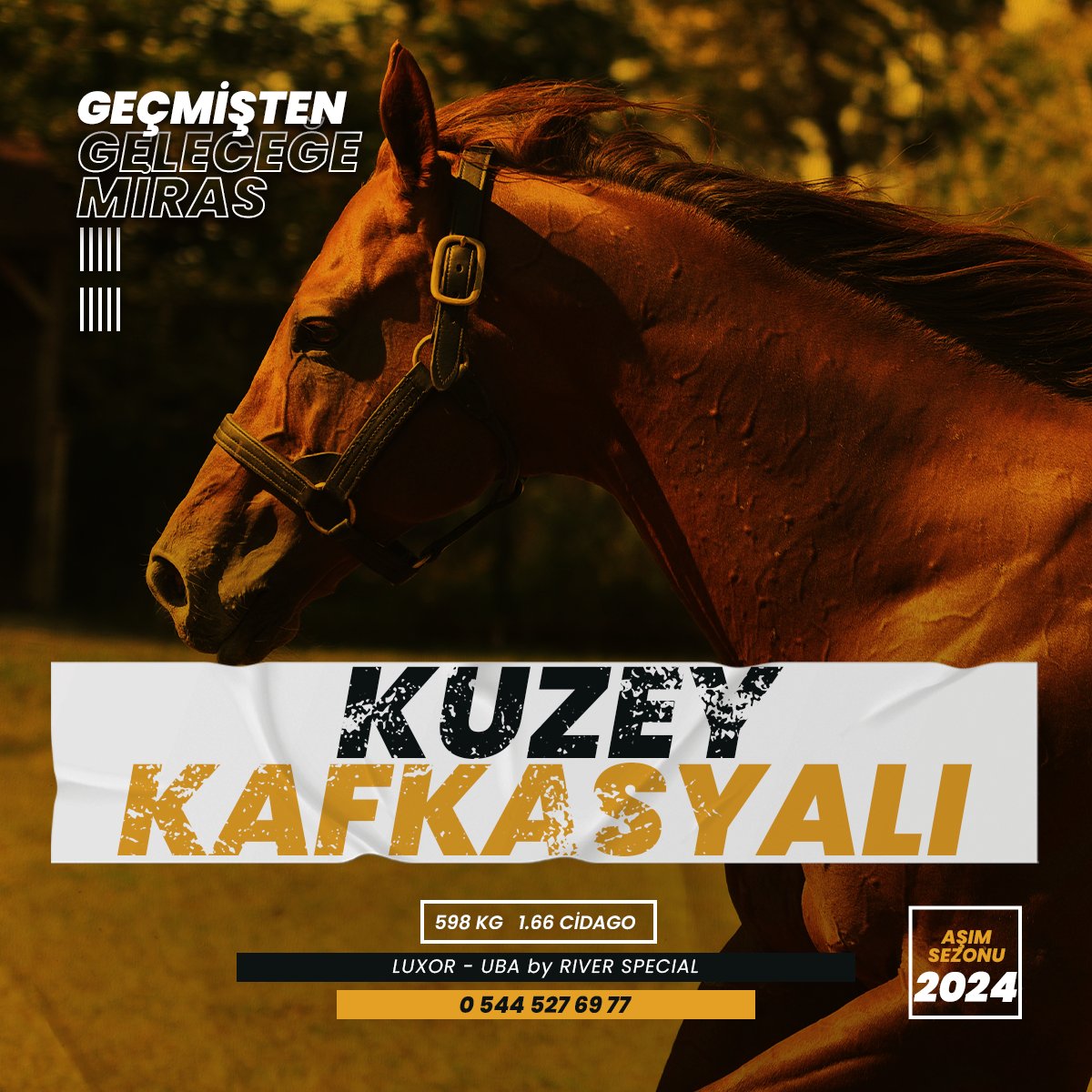 Heyecanımız yüksek, gençliğimiz var...