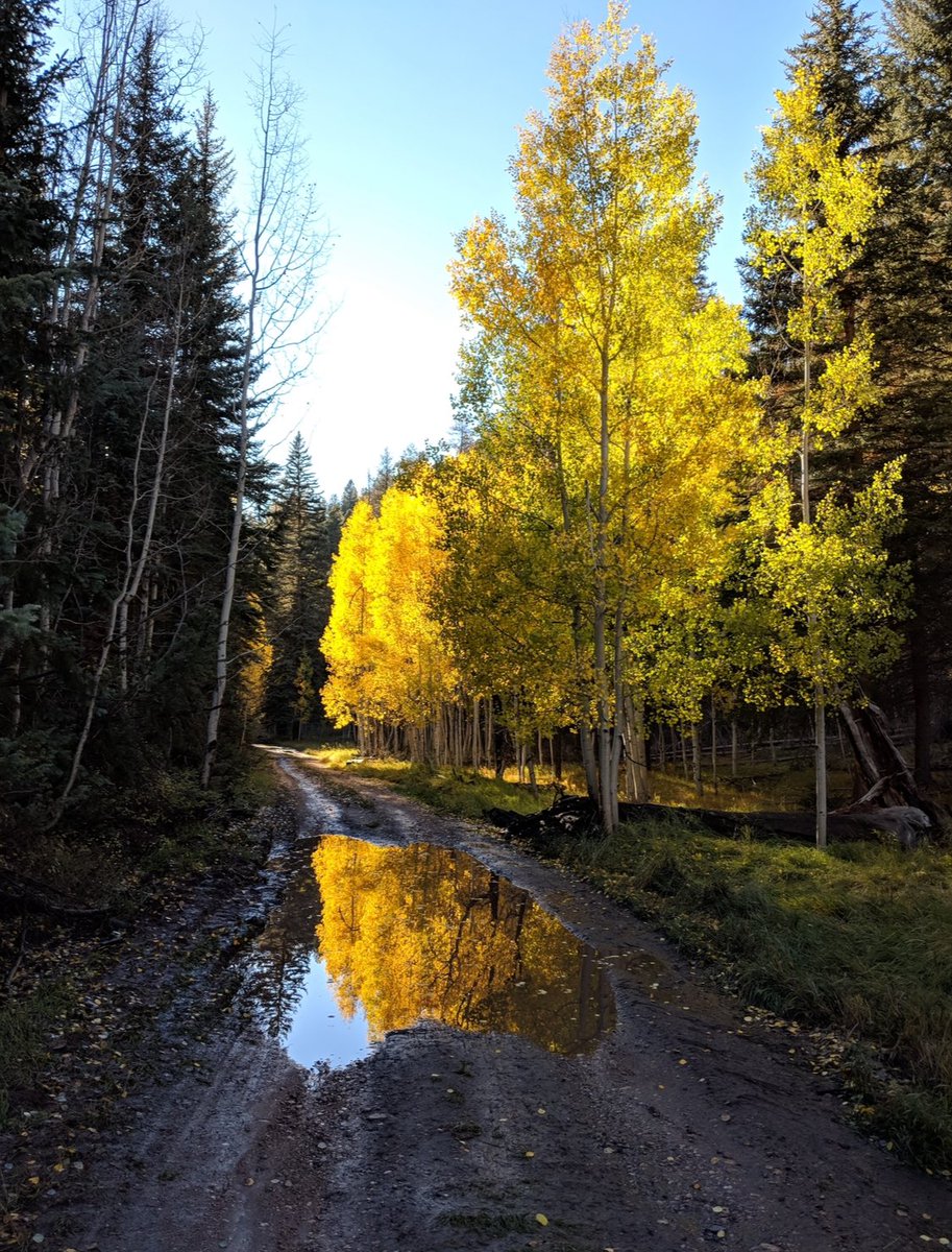CPRBrew's tweet photo. @ERobbinsCFalls North Rim Grand Canyon https://t.co/m2wwjMOeuF