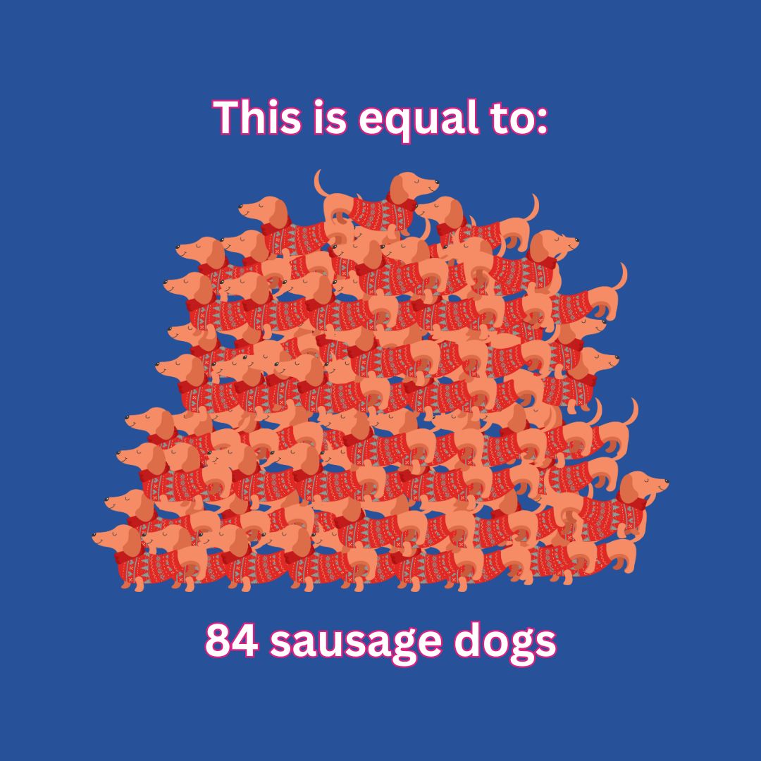 MedwayRecycles's tweet image. 🤩WOW! Since launching our small electrical collections in @Medwaylibraries ​with​ #MaterialFocus​ - you've donated a whopping 835KG of small electricals, 1273 items!
⚖That's 131 Stone
🐘9 baby elephants
🏍 8.5 motorbikes
🐕 84 Sausage dogs!
Learn more: rb.gy/gzl43t