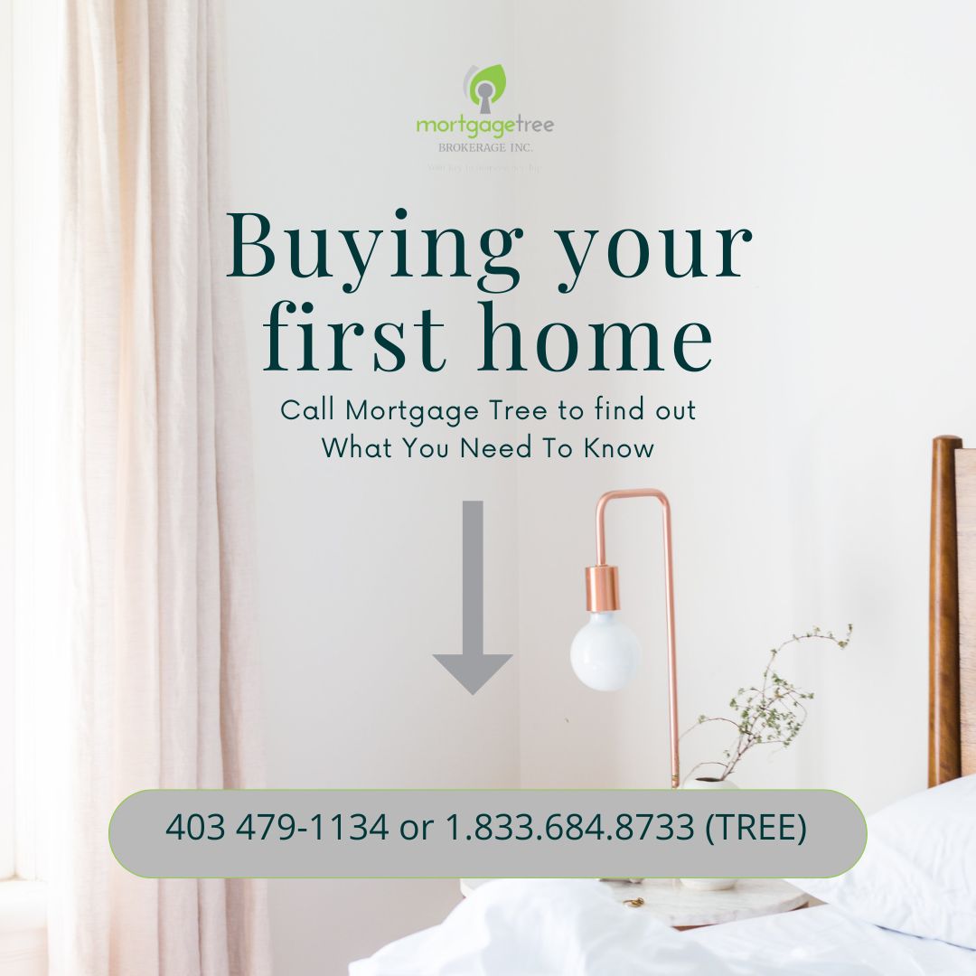 MortgageTreeInc's tweet photo. ✅ MORTGAGE TREE CHECKLISTS

REQUIRED MORTGAGE DOCUMENTATION - Read more here:👇
https://t.co/BIAS8kMkqO

✅ You will be required to provide standard documentation to enable your lender to verify the information in your application. 

✅ It is very important to be as accurate ... https://t.co/ty33dCbqEG