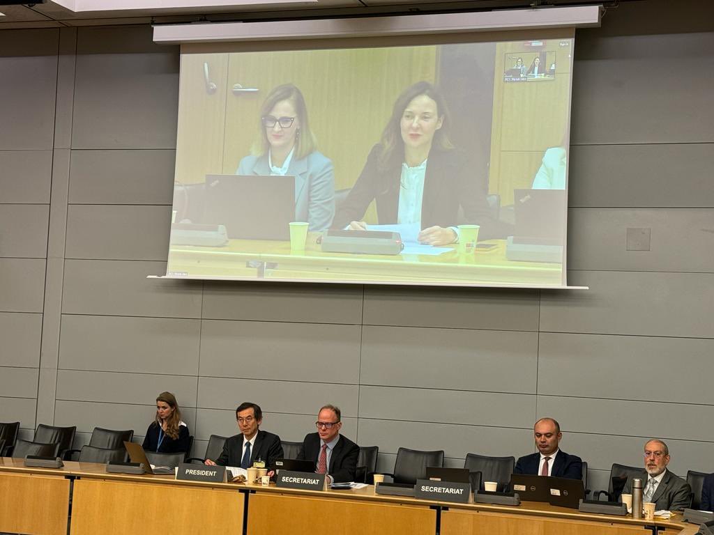 CroatiaOECD's tweet photo. During the meeting of the @OECD Insurance&Private Pension Committee 🇭🇷 had an accession examination of our alignment in this field. Croatian delegation led by #HANFA Board Member Ilijana Jeleč supported by the Ministry of Finance.Big thnx to the @OECD_BizFin Secretariat&delegates https://t.co/19ykcDP9aK