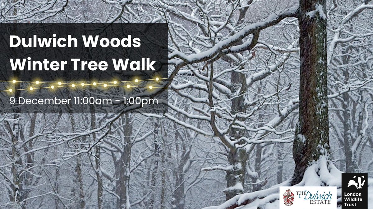 Join Rianna (Engagement Officer for Dulwich Woods) and Layla (Keeping it Wild trainee) for a guided walk to learn about the diverse range of trees found in Dulwich Woods. Learn more about this event and reserve your spot: community.nationalparkcity.org/events/winter-…. @WildLondon