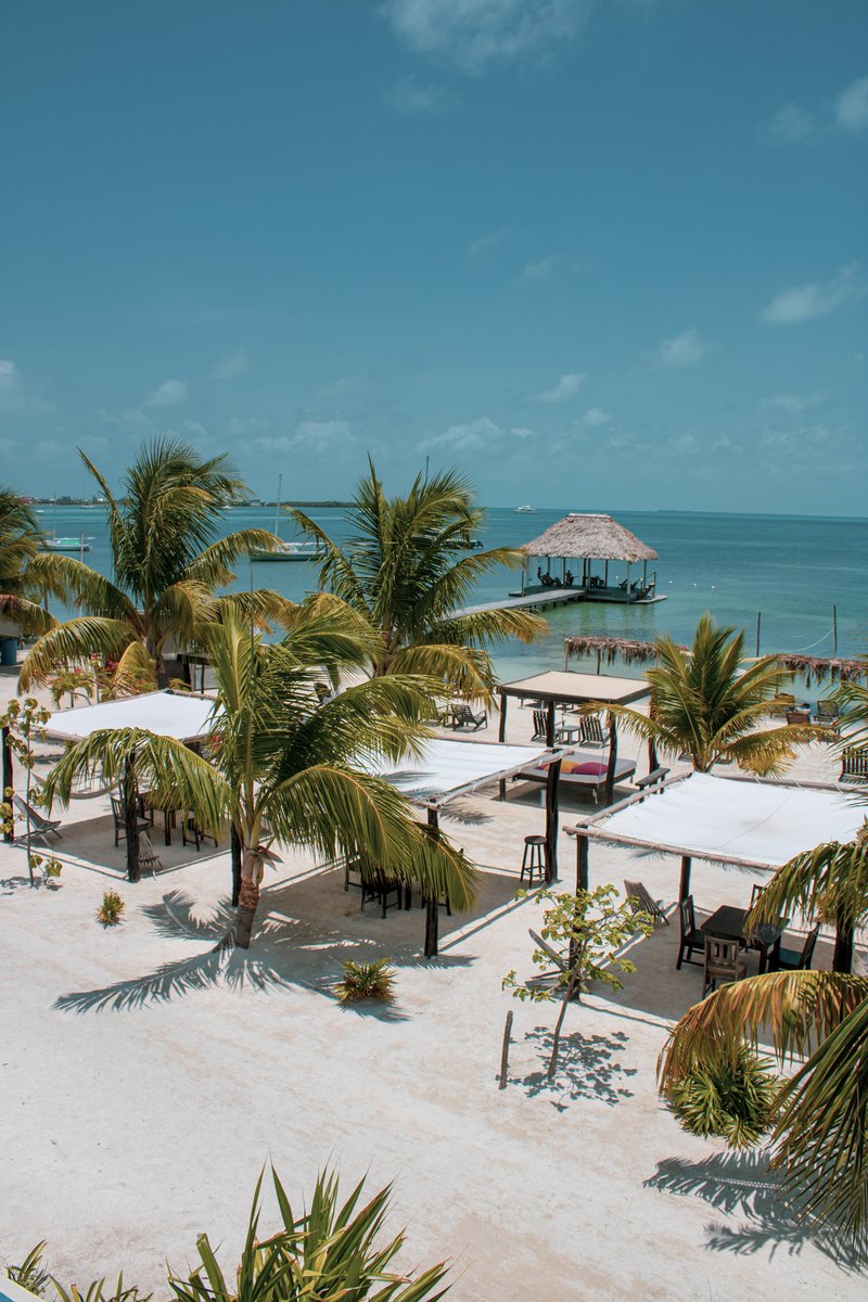 belizehub's tweet photo. Make 2024 unforgettable with a visit to Belize! ππΊ From ancient Maya ruins to spectacular marine life, Belize promises adventures for every traveler
.
.
.
.
.
#2024TravelGoals #MustVisitBelize #ExploreBelize #belizehub #travelbelize https://t.co/dxk0eCWmDs