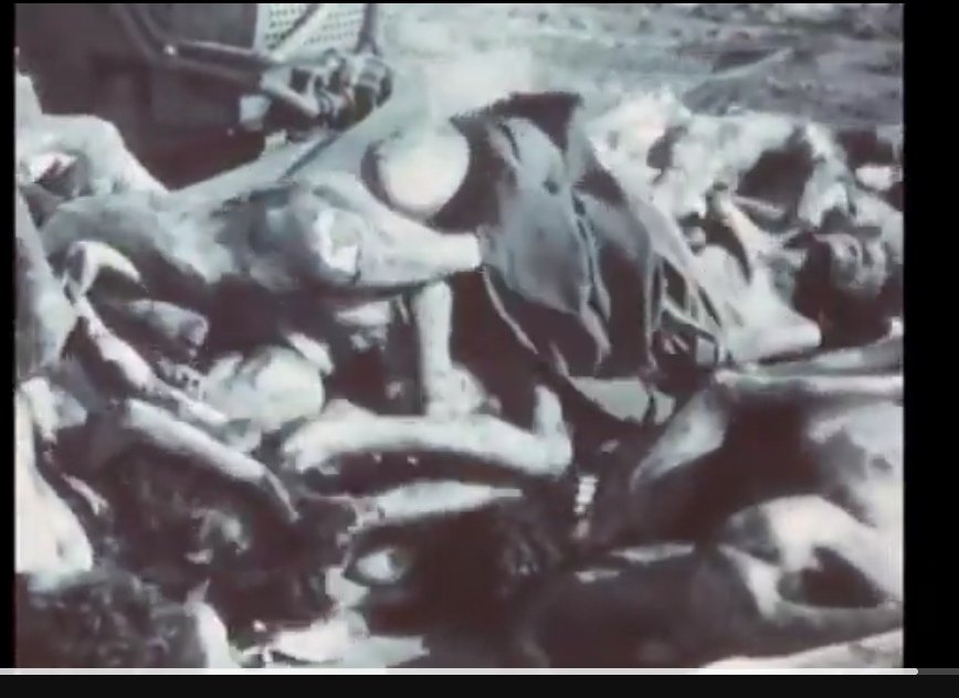 Yıllardır süren zulüm soykırıma dönüştü

Siyonistler 1946’dan beri Filistin halkının topraklarını, evlerini, hayatlarını ve umutlarını çalıyor. 

#FilistiniUnutma