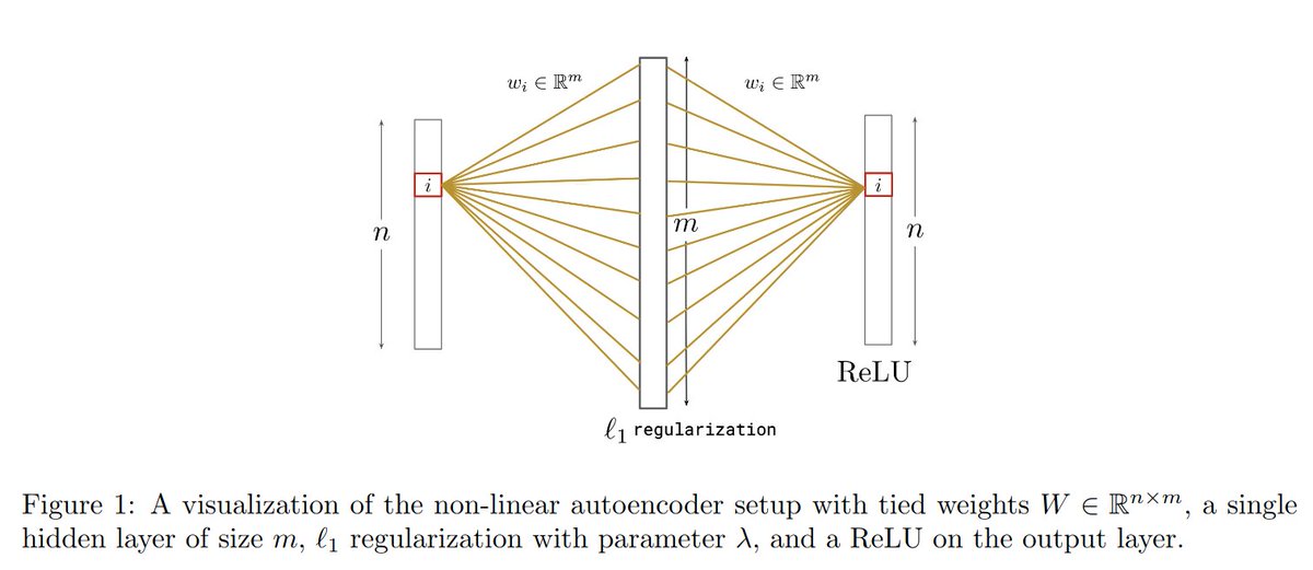 RylanSchaeffer's tweet image. We theoretically study a shallow nonlinear autoencoder inspired by the one studied by @AnthropicAI &apos;s team @trishume  @catherineols @nschiefer &amp;amp; Nelson Elhage

(&amp;amp; also similar to model studied by @TrentonBricken in our #ICML2023 paper openreview.net/forum?id=cxYaB…!)

5/N
