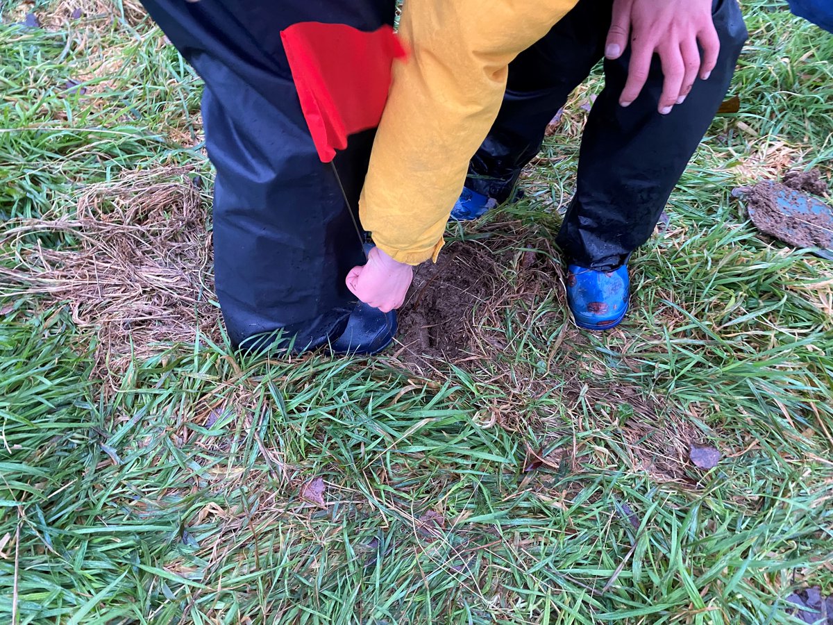 PKCTrust's tweet photo. We snuck in a bit of tree planting before the rain set in at Guildtown today! Children from P3-P7 at Guildtown Primary joined us to plant 30 trees in Guildtown Park as part of A Tree for Every Child! 🌳🌳

The trees are a mix of Wild Cherry, Rowan and Silver Birch 🌳
#PKOffer https://t.co/pQ5mMZsRa3